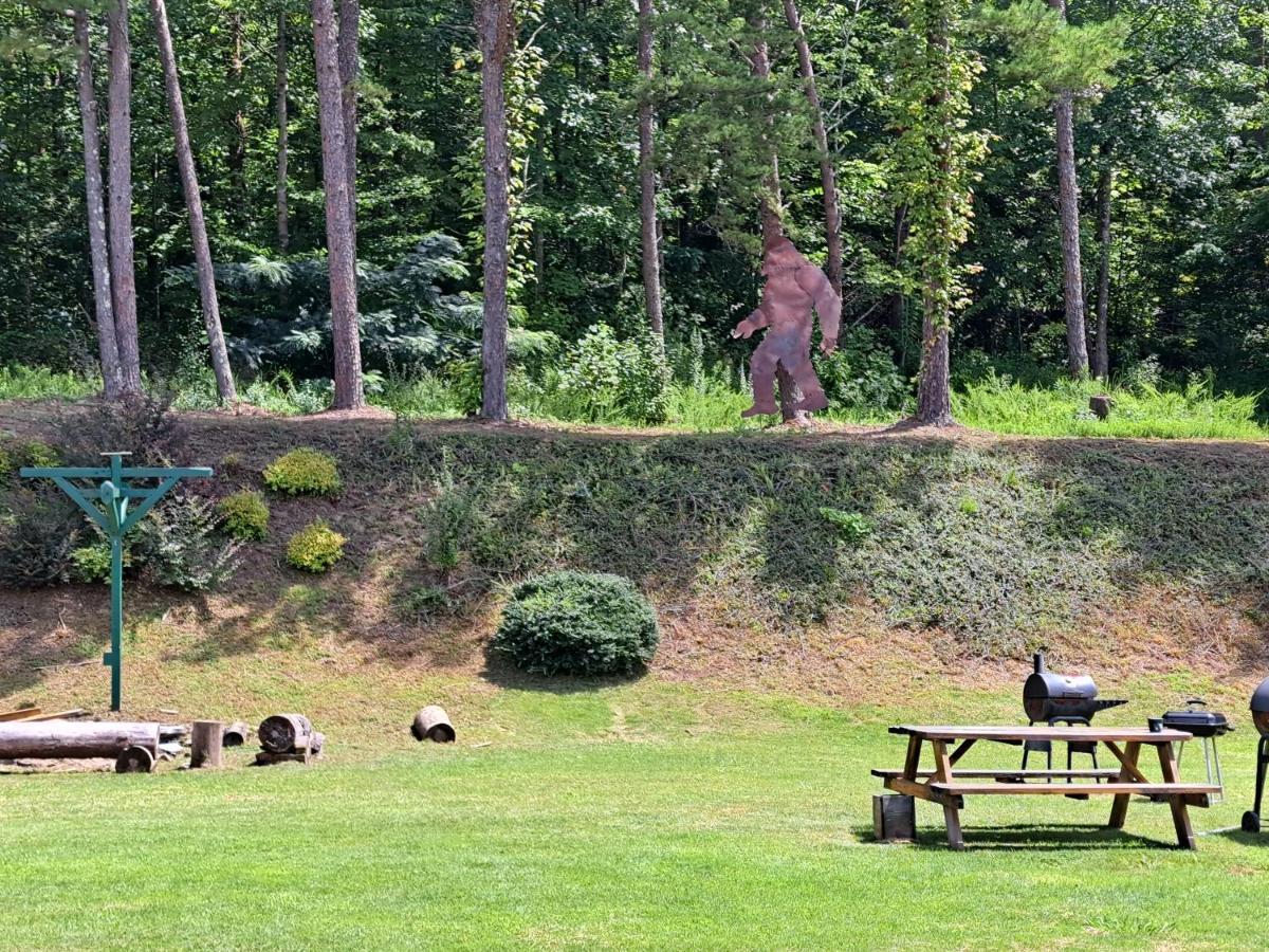 Blue Sky Inn- Complimentary Happy Hour Th-Sun, Veteran Owned, Full Breakfast, Best Green Space, 1 Mile From Blue Ridge, Fire Pit エクステリア 写真